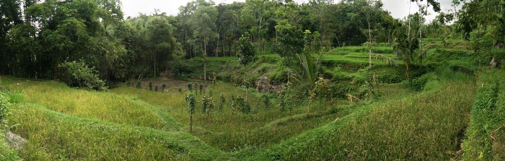 Dream Catcher Camp Hotell Tetebatu Eksteriør bilde